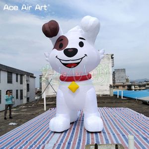 wholesale 2024 Nouveau design 3mH 10ft Chien gonflable Modèle animal de dessin animé gonflable pour la décoration de cour Pet Shop Accessoires publicitaires