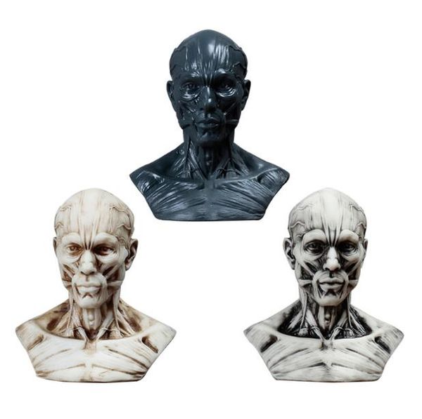 wholesale 3style 10cm Sculpture de mannequin de tête de muscle humain, dessin de nature morte, modèle de crâne de référence, buste artistique, aménagement paysager M01009