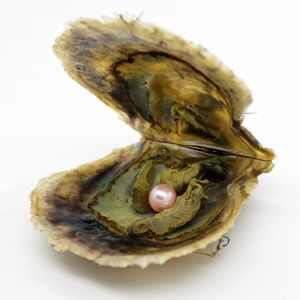 Groothandel 6-7mm Natural Akoya Salt Oyster Pearl, Pearl in Oyster is 21 # Natural Pink Total 29 kleuren om uit te kiezen