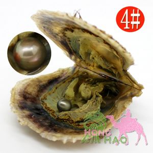 Perles d'eau douce rondes de 6 à 7mm, avec huître en coquille d'akoya d'eau de mer, 29 types de couleurs de perles disponibles, vente en gros