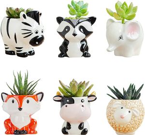 Vente en gros 6 pièces ensemble animaux pot de fleur en forme de dessin animé petit pot succulent planteur d'animaux petit pot de plante en céramique pour présentoir bureau à domicile