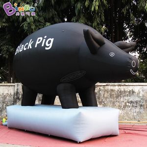 groothandel 6mH (20ft) opblaasbare diermodellen opblazen zwart varken inflatie cartoon varken karakter met luchtblazer voor buiten feest evenement decoratie speelgoed sport