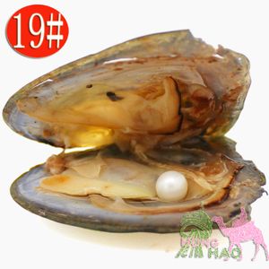 Groothandel AAAA6-7mm vacuüm verpakte zoetwaterparel oester, parelkleur is 19 # natuurlijk wit (gratis verzending door DHL)