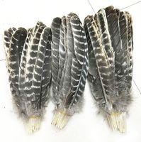gros belles plumes de queue de dinde sauvage précieux 8-12inches / 20-30cm (plusieurs tailles à choisir)
