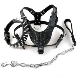 Groothandel Zwart Spiked Dog Collars Kwaliteit Budd Lederen Dog Pet Pit Harness Chest 26 "-34" Kraagriem Set voor middelgrote grote honden Boxer Bull Terrier