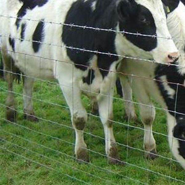 Personnalisation en gros clôture métallique filet de clôture pour animaux achat veuillez contacter