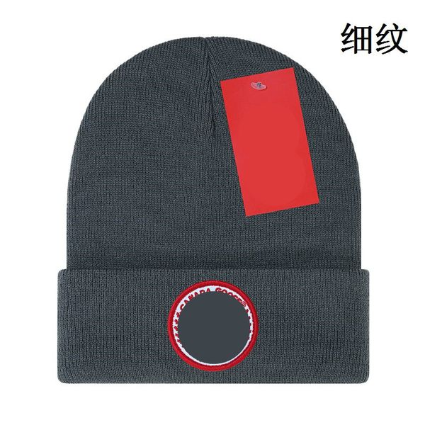 Designer en gros tricoté chapeau Ins populaire Canada chapeaux d'hiver classique lettre oie imprimer casquettes tricotées en plein air mode bonnets H8-9.20