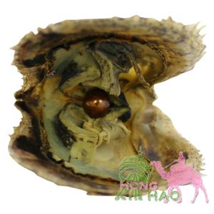 Groothandel geverfde ronde vacuümverpakkingen 7-8 mm ronde akoya-pareloesterzee 1 # bruine parels in oesters