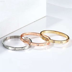 Bracelets en acier titane de haute qualité, strass simples, or Rose, bijoux à la mode, vente en gros