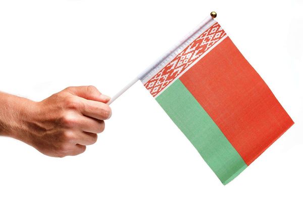 Drapeaux de main indiens en gros Inde décoration de drapeau de main Drapeaux de bâton de l'Inde de polyester