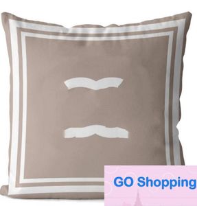 Groothandel Letter Designer Kussen Huiskamer Decor Kussenkussen Couch Stoel Bankje Oranje auto Dikke kasjmier kussen Multisize Casual Designer Pillows Factory Outlet