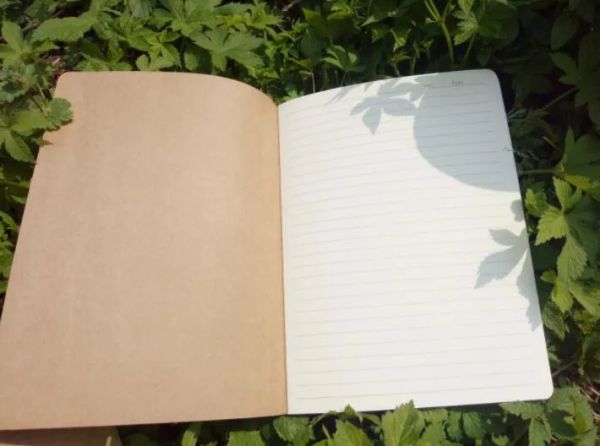 wholesale Páginas rayadas Cuadernos de diarios de viaje Cuaderno de tapa blanda Tamaño A5 210 mm x 140 mm 60 páginas 30 hojas papelería suministros de oficina