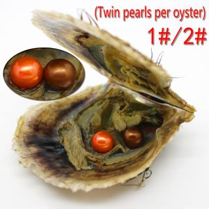 Gros Love Pearls Huîtres 6-7mm Perles d'eau douce rondes de différentes couleurs dans des huîtres fraîches avec emballage sous vide