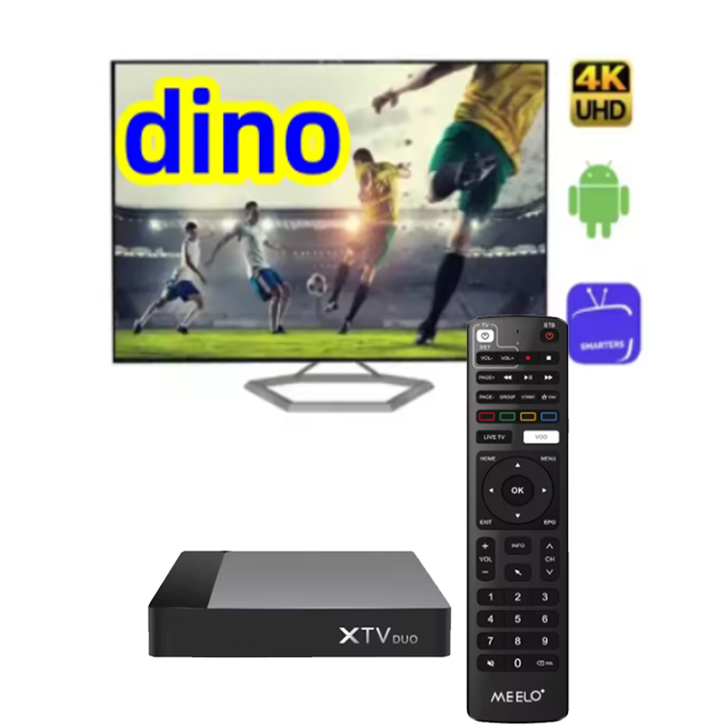 Wholesale Meelo XTV Duo TV Box Android 11 Amlogic S905W2 Quad core 100m Ethernet Dual Wifi Media Player TV Box Aggiungi Dino 12m per USA Canada Arab Britain