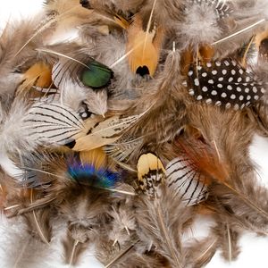 Groothandel natuurlijke fazantstaartveren voor vliegbanden materiaal ambachten oorbellen decor kleine kip pauwpluimen decoratie