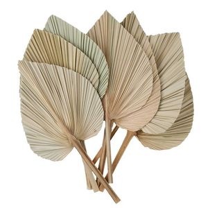 Feuilles de palmier florales séchées traitées en gros naturel ventilateur sec Sun Spade feuilles de palmier blanchies pour la décoration de fleurs de mariage palmier