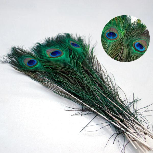 En gros, réalité naturel réel peacock en vrac 25-50 cm pour le bricolage de bijoux de bijoux décor de table d'accueil accessoires de fête de mariage