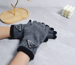 Gros nouveaux gants tricotés hommes coupe-vent et protection contre le froid écran tactile du bout des doigts Nanjima velours double couche gants d'équitation chauds antidérapants