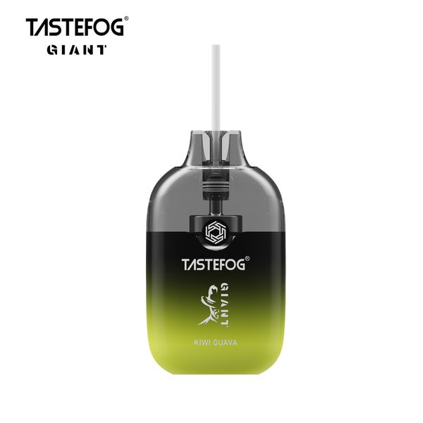 En gros Original Tastefog géant 12000 bouffées bobine de maille jetable I Vape boîte 15 ml débit d'air réglable 650 mAh batterie