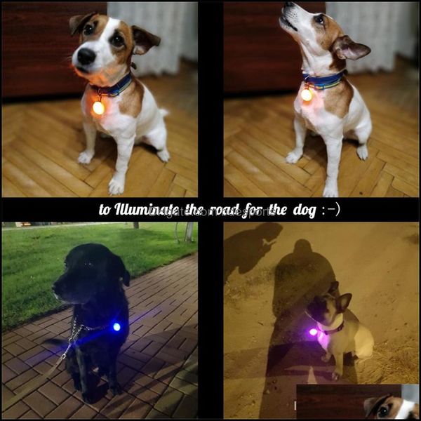 Vente en gros Pet Night Safety Led Lampe de poche Collier Chien Guide Lights Glowing Pendentif Collier Lumineux Lumineux No Drop Delivery 2021 TagId Card
