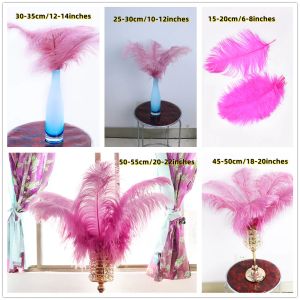 Plumes d'autruche roses en gros pour le carnaval Party Fermrafre Decator Faire des accessoires de table de table de mariage 10pcs / lot