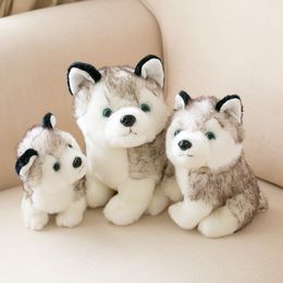 Simulation en vente en gros Simulation Husky Doll Animaux en peluche Jouet petit chien Er Ha Doll Mash Dog Gift Christmas Huggy Wuggy Custom Toy Animaux en peluche jouet pour l'enfant