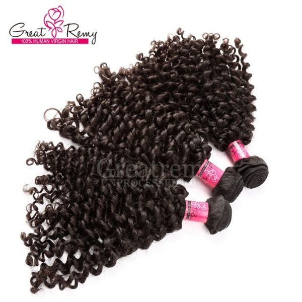 3 pcs/lot non transformés bouclés vague 100 cheveux brésiliens armure bonne qualité Extensions de cheveux Greatremy parfait Curl cheveux pour les femmes noires