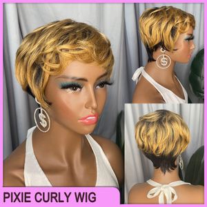 Prix ​​de gros de haute qualité brésilien péruvien indien 100% Vrigin Raw Remy cheveux humains 1b27 Pixie bouclés court sans dentelle Bang perruque