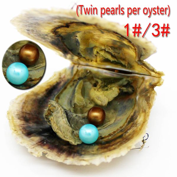 Vente en gros de perles jumelles Akoya rondes dans un emballage sous vide de perles d'huîtres 1 # et 3 # couleur double perle Akoya dans une huître 6-7mm