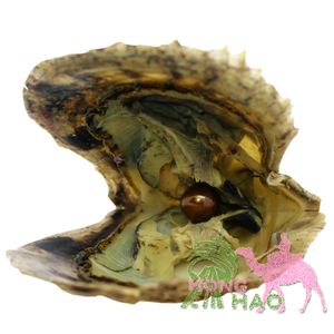 Groothandel ronde vacuüm verpakking 6-7mm ronde akoya parel oester zee 1 # bruine parels in oesters 29 parelkleuren om uit te kiezen