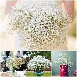 Groothandel single witte gipsligingen baby adem kunstmatige nep zijden bloemen plant huis bruiloft decoratie fy3762 916
