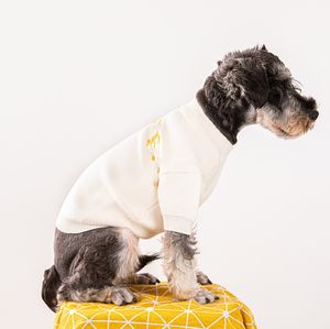 Pull pour chiens de petite et moyenne taille, vente en gros, marque tendance, vêtements pour animaux de compagnie, fournitures d'extérieur, nouvelle collection automne et hiver