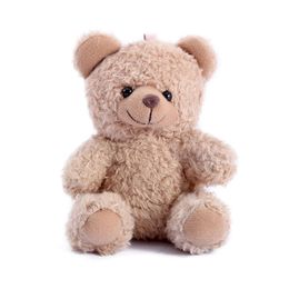 Groothandel Kleine teddyberen Keychain Toys Custom Bear Plush Stuffed Animal Mini Plush Toys Keychain Bears
