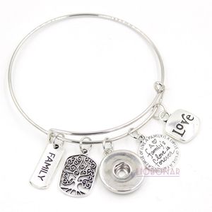 Groothandel Snap Sieraden Verstelbare Uitbreidbare Wire Bangle Memorial Stamboom Charm Armbanden Drukknoop Armbanden voor Familie Gift