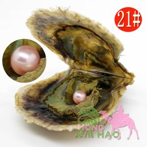 Groothandel vacu￼m verpakt 7-8 mm rond zoet water Akoya Shell Pearl Oyster