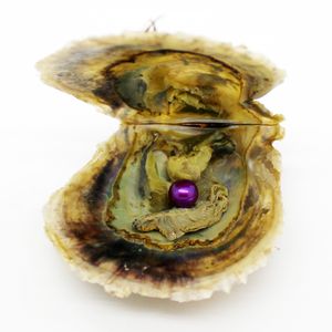 Groothandel vacuüm verpakte oester, Akoya zout parel oester, parel geverfd ronde 6-7mm parel kleur is # 18 paars