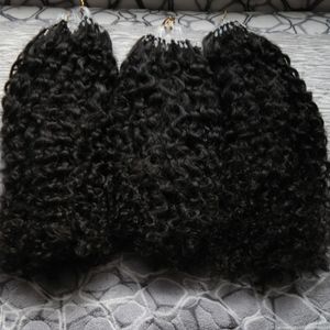 Groothandel Maagd Mongoolse Afro Kinky Krullend 300s Breng Natural Hair Micro Link Hair Extensions 300g Micro Loop Menselijk Hair Extensions