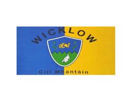 Wicklow Irlanda Gaa County Banner 3x5ft 90x150cm de doble costura Festival Festival Party Gift 100d Poliéster Interior al aire libre H7138575