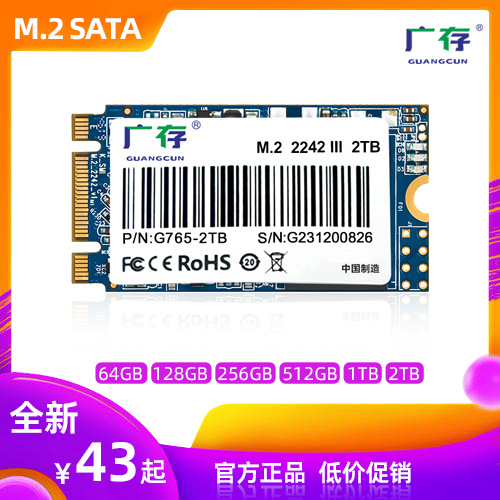 Wide Storage Laptop Solid State Hard Disk SSD 128G/256G512G1T 2242 High-Speed Hard Disk