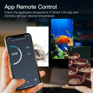 WiFi Digital Temperature Thermostat Pild de sortie de bouche de chauffage Mode de refroidissement Carboy Aquarium Home Brewing Tuya Smart Life App Contrôle