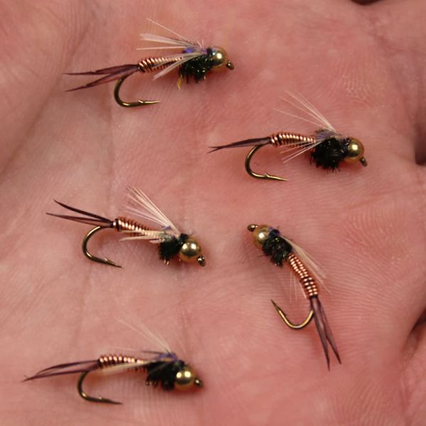 Wifreo 10pcs # 8 # 10 # 12 Copper John Fly Brass Head nymphes Stone Fly Fishing Trout Appâts