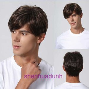 Wig Mens Slanted Bangs courts raides Bround Brown Brun synthétique