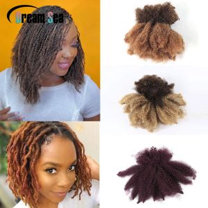 Perruques 100g Afro Kinky Curly Human Human Human Brek Brésilien Remy Hair Extensions For Braiding Blonde Crochets Braids Hair Bernks No Wft