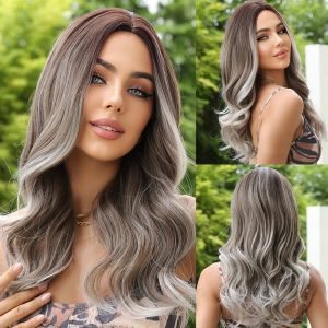 Wigs Craftourist Ombre Ash Gray Gray Synthetische pruiken Middle Part Dagelijkse slijtage Pruiken voor vrouwen Cosplay Hoge temperatuur Natuurlijk haar