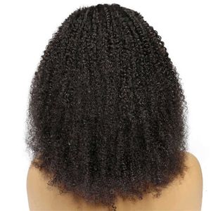 Perruques pour femmes cheveux longs bouclés pour femmes noires perruque ondulée de la chaleur de la chaleur de la chaleur durable pour les blackwomen pour le style dentelle synthétique
