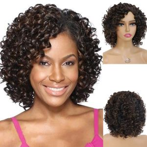 Perruques Gnimegil Synthétiques Curly Wigs For Women Short Afro Wig Female Mélange Brown Hair Brown Wig African American pour les dames Bob Curls