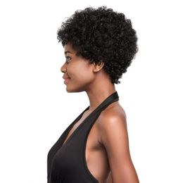 Pruiken hot selling braziliaanse Haar Afrikaanse Ameri korte kinky krullende pruik Simulatie Menselijk Haar krullende pruik voor vrouwen