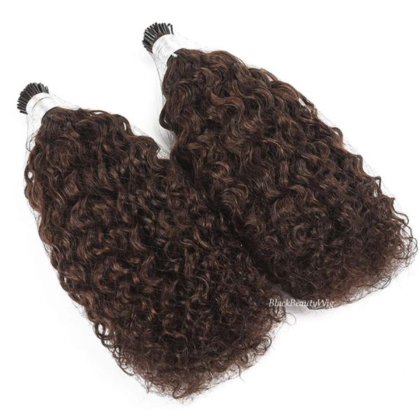 Perruques I Tip Hair Extension Loose Wave Dark Brown Micro Link Brazilian Remy Stick I Tip Hair Hair # 4 # 2 #BLACK 100G 100STRANDS