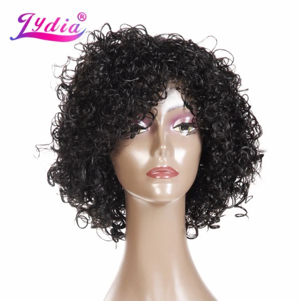 Perruques Lydia Afro Curly Wigs synthétiques Broisses Wig Hanekalon Res résistant à la chaleur pour les femmes afro-américaines Couleur de mélange noir