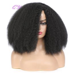 Pelucas Qy sintética Afro Kinky Curly Hair Natural Wig For Women Fashion and Natural Hairstyle Wig